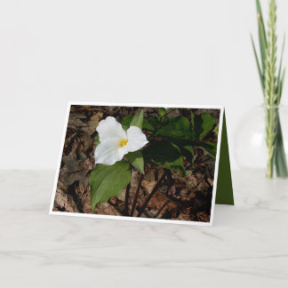 Cartão de saudação filosófico do trilium de flores