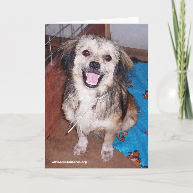 Cartão de Saudação Flash Jack (Frente)