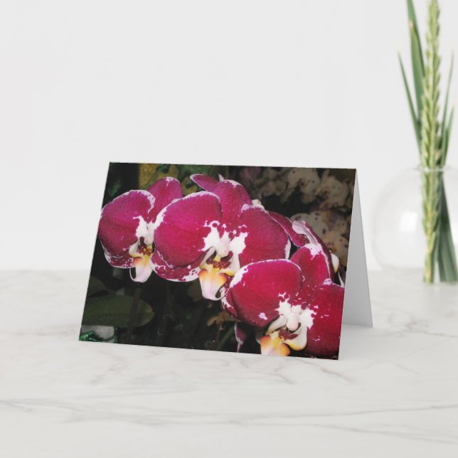 Cartão de Saudação Floral (Frente)