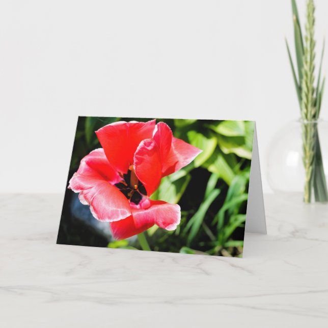 Cartão de saudação floral eu te amo (Frente)