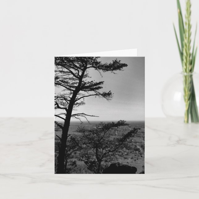 Cartão de saudação Floresta Paisagem Natureza Foto (Frente)