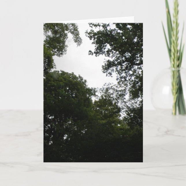 Cartão de Saudação Florestal Assustador (Frente)
