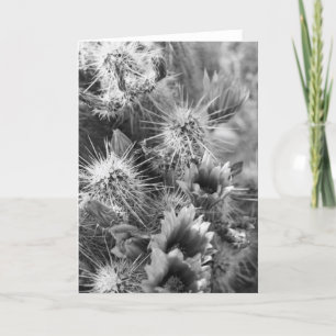 Cartão de Saudação Fotográfica das Flores do D