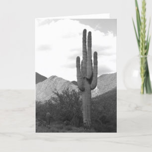 Cartão de Saudação Fotográfica do Deserto Saguaro