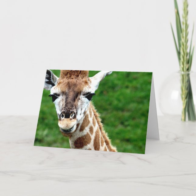 Cartão de Saudação Fotográfica Giraffe (Frente)