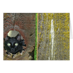 Cartão de Saudação - Gato Pionando Através da Cerc