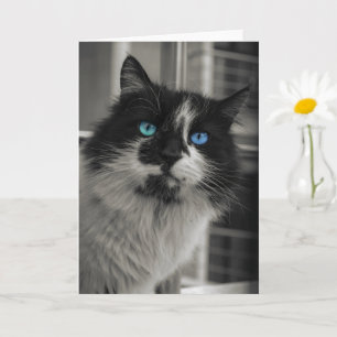 Cartão de Saudação Gato Preto Alma Azul Olhos Azui