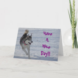 Cartão de Saudação Geral nº 1