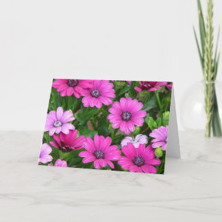 Cartão de Saudação Geranium (Flores Rosa)