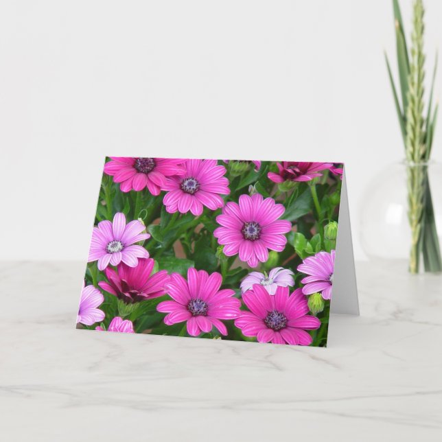 Cartão de Saudação Geranium (Flores Rosa) (Frente)