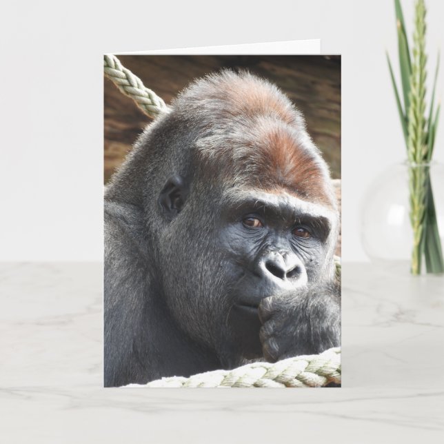 Cartão de Saudação Gorilla (Frente)