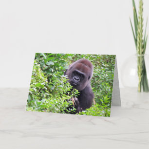 Cartão de Saudação Gorilla