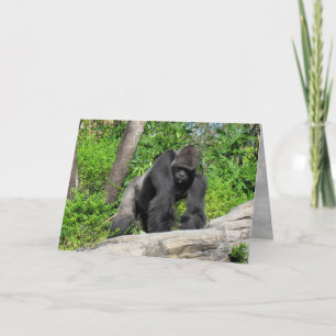 Cartão de Saudação Gorilla (0536)