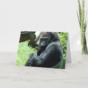Cartão de Saudação Gorilla Glare