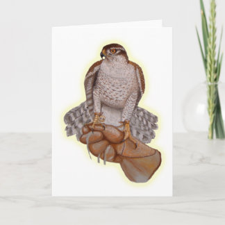 Cartão de Saudação Goshawk.