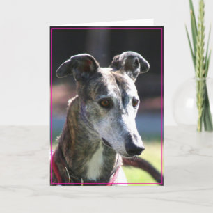Cartão de saudação Greyhound