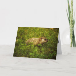Cartão de saudação Groundhog