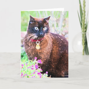 Cartão de Saudação Havana