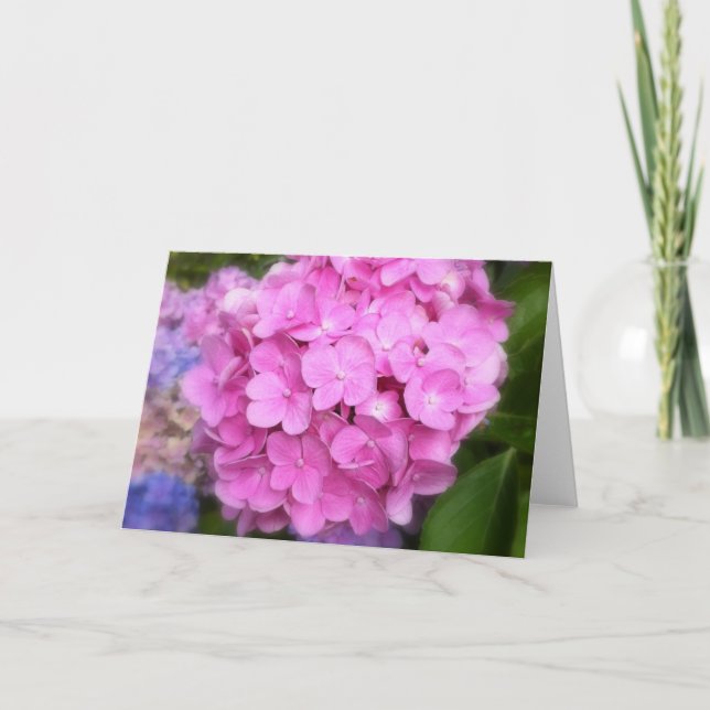 Cartão de Saudação Hidrangea Rosa (Frente)