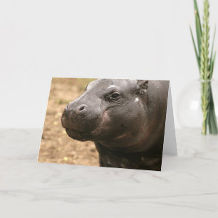 Cartão de Saudação Hippo Pygmy