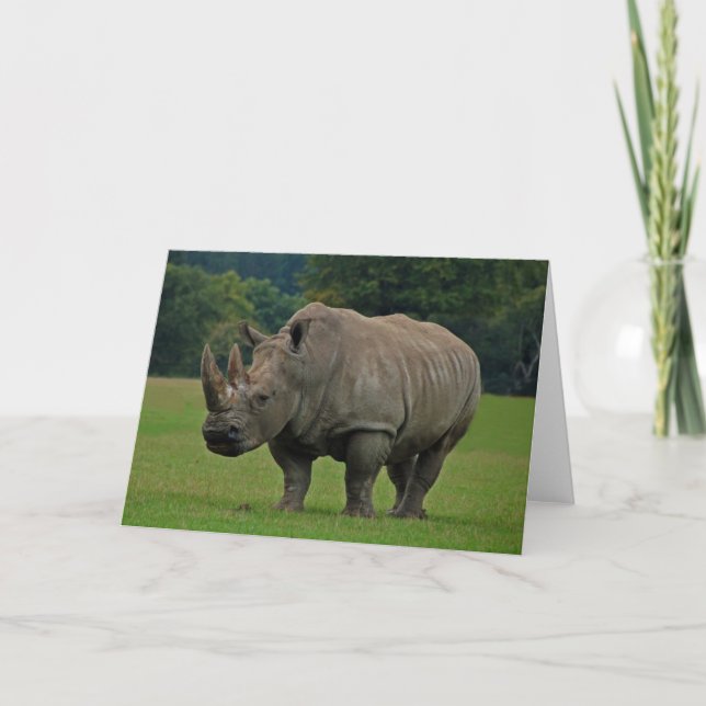 Cartão de saudação Hippopotamus (Frente)