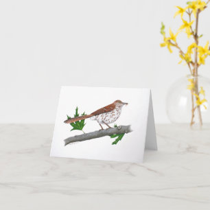 Cartão de Saudação Inspiracional Brown Thrasher