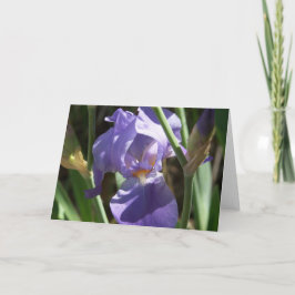 Cartão de Saudação Iris Garden