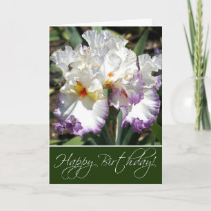 Cartão de Saudação Irises