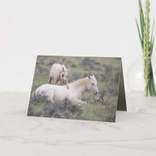 Cartão de Saudação Irmão Selvagem de Cavalo acorda