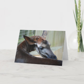 Cartão de Saudação "Itchy Okapi"