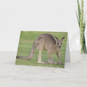 Cartão de Saudação Kangaroo