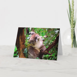 Cartão de Saudação Koala Bear