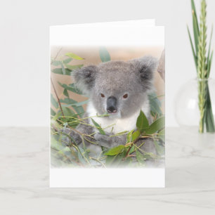 Cartão de Saudação Koala Bear