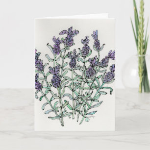 Cartão de saudação - Lavanda francesa Aquarela e T