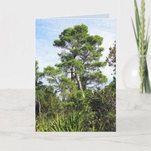 Cartão de Saudação Lean On Me