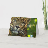 Cartão de Saudação Leopardo