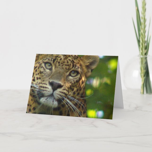 Cartão de Saudação Leopardo (Frente)