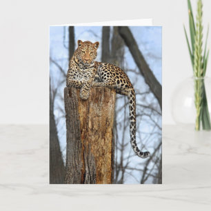 Cartão de Saudação Leopardo