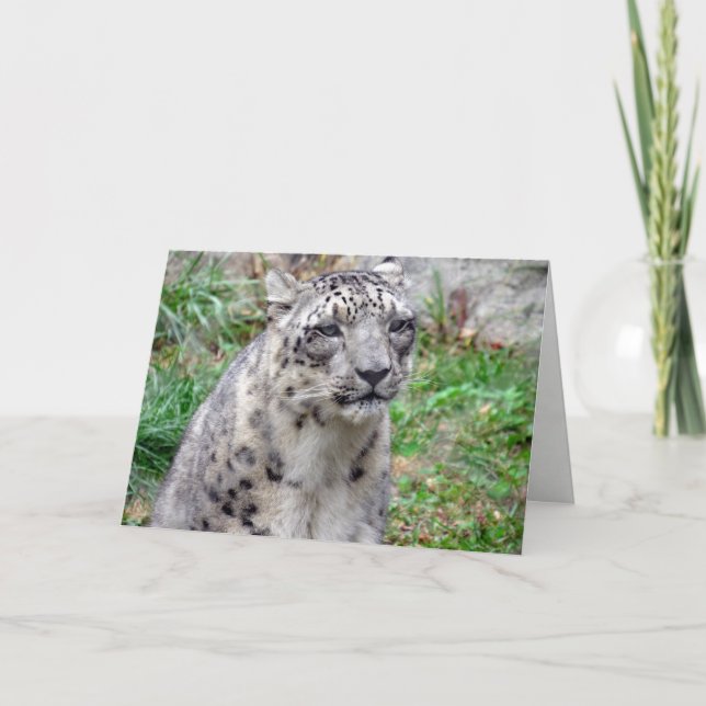 Cartão de Saudação Leopardo da Neve (Frente)