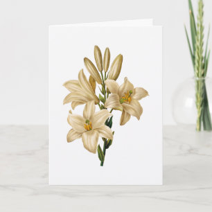 Cartão de Saudação Lily Sympathy