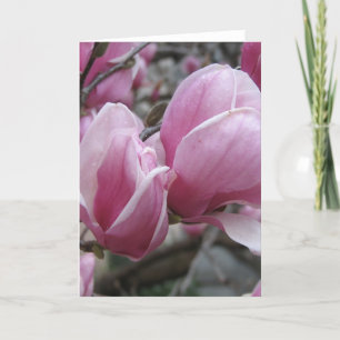Cartão de Saudação Magnolia