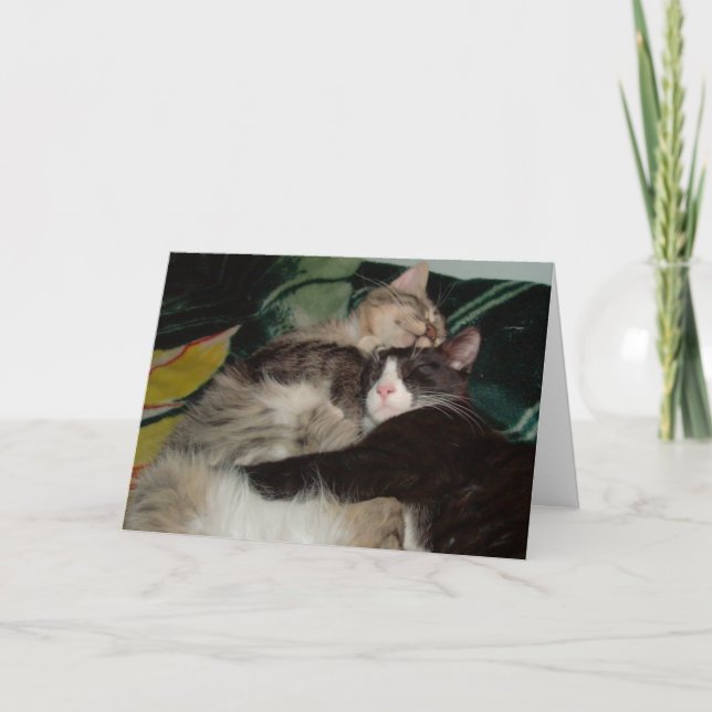 Cartão de Saudação Meow Cats 3 (Frente)