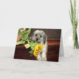 Cartão de Saudação Morkie