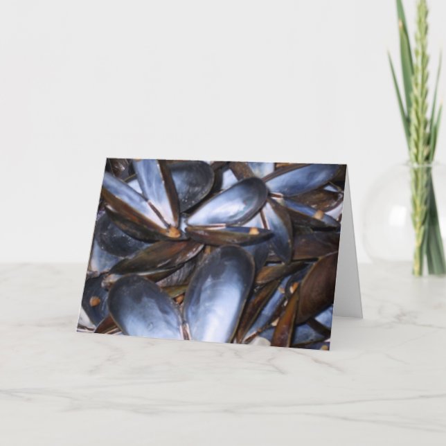 Cartão de Saudação Mussel Shelsel (Frente)