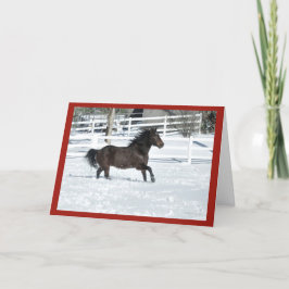 Cartão de Saudação Mustang Horse Running Seasons