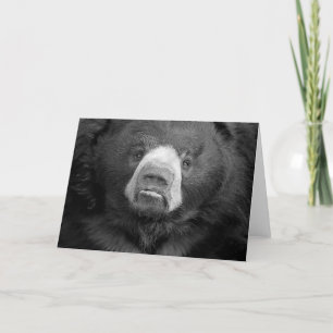 Cartão de saudação nº 1 do Sloth Bear