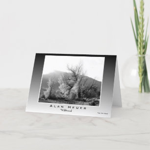 Cartão de Saudação OCIDENTAL ART - "Wildwood"