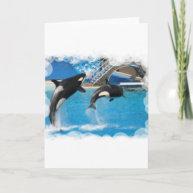 Cartão de Saudação Orca Whales (Frente)