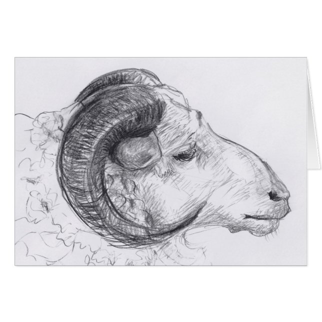 Cartão de Saudação Original de Desenho Ram Head (Frente Horizontal)