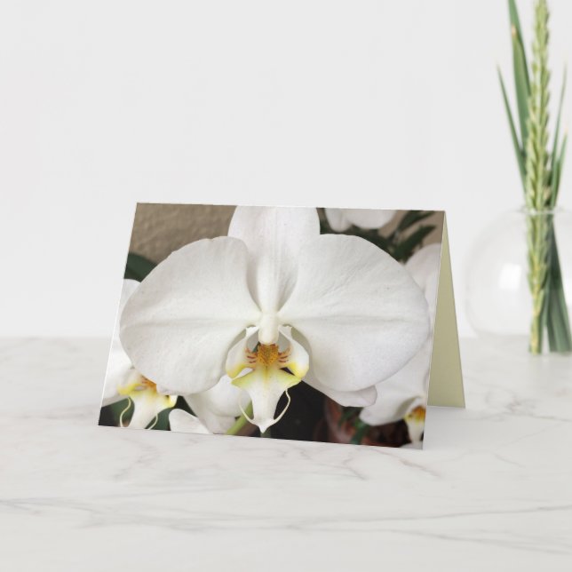 Cartão de Saudação Orquídea Branco (Frente)